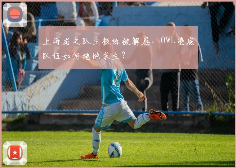 上海龙之队主教练被解雇,OWL垫底队伍如何绝地求生?